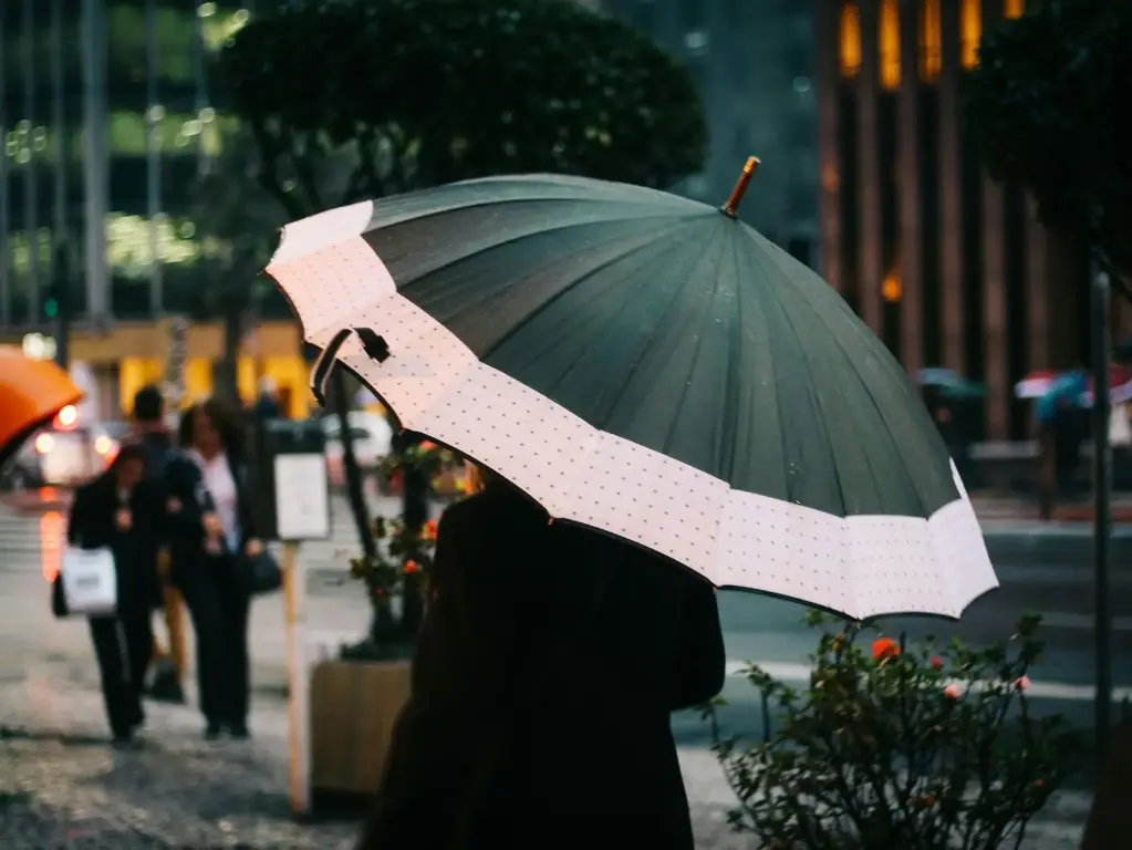 Compact Travel Umbrella