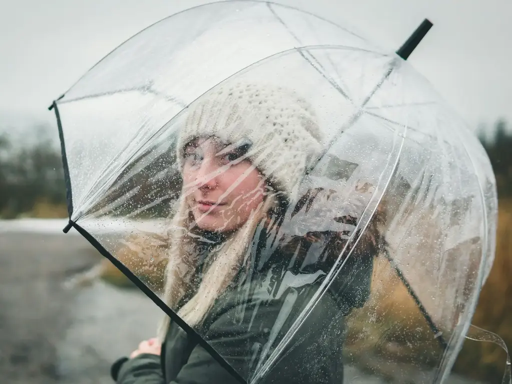 Transparent Dome Umbrella