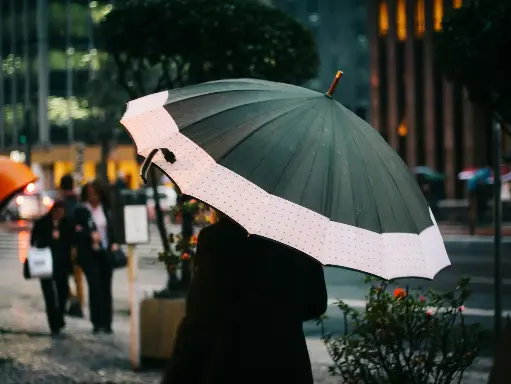 Compact Travel Umbrella