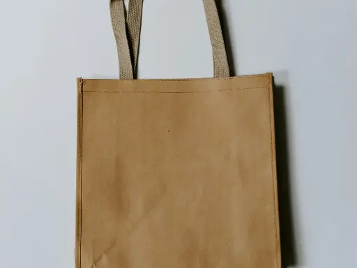 Foldable Reusable Shopping Bag